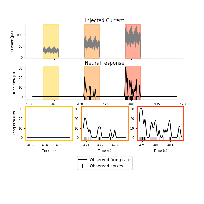 Injected Current, Neural response