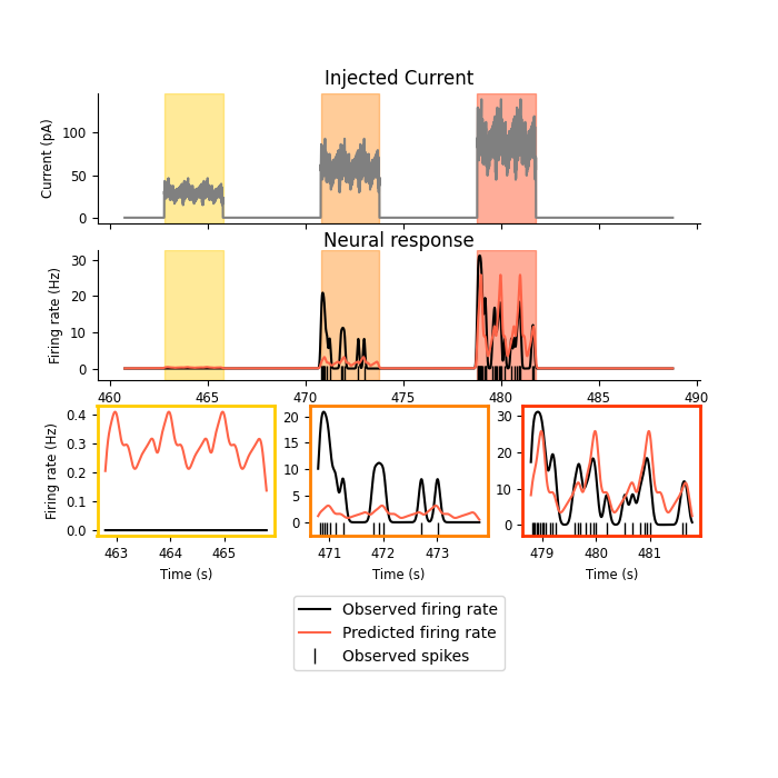 Injected Current, Neural response