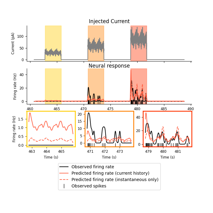 Injected Current, Neural response