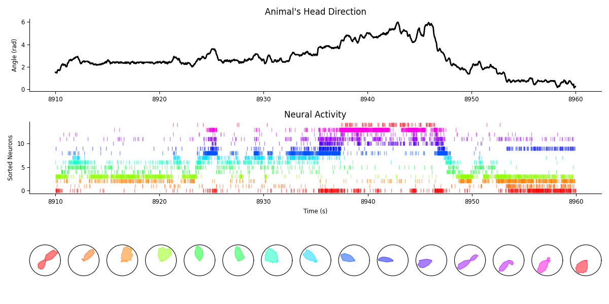 Animal's Head Direction, Neural Activity