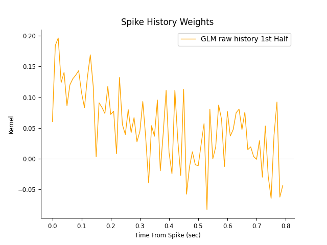 Spike History Weights