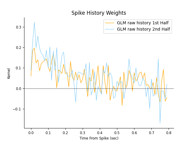 Spike History Weights