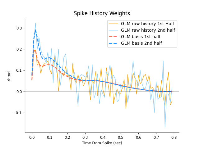 Spike History Weights