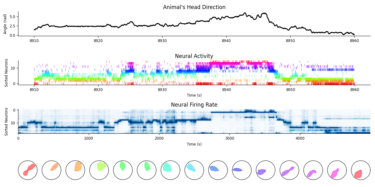 Animal's Head Direction, Neural Activity, Neural Firing Rate