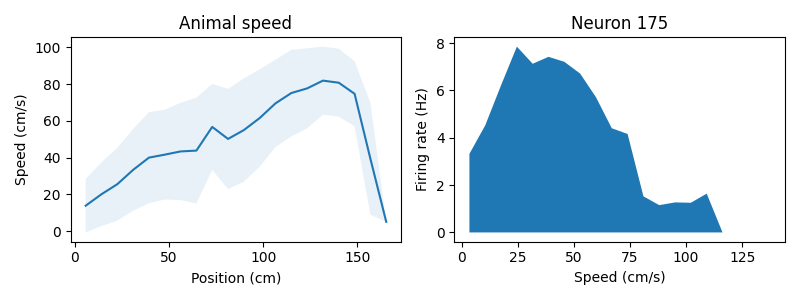 Animal speed, Neuron 175