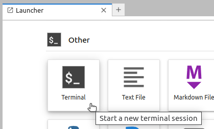 Start a dandihub instance