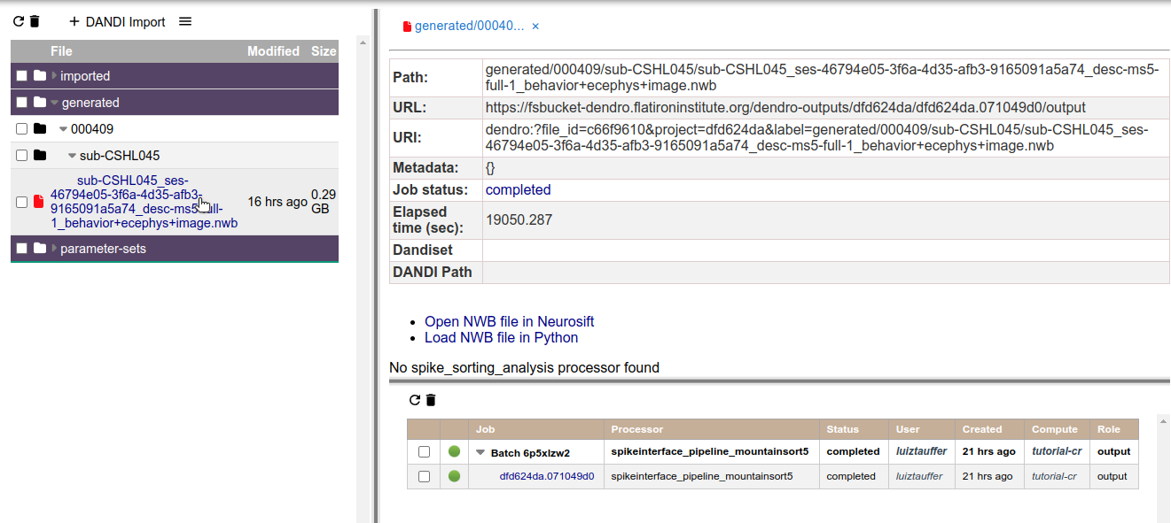 File info